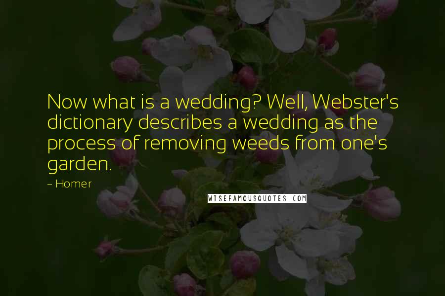 Homer Quotes: Now what is a wedding? Well, Webster's dictionary describes a wedding as the process of removing weeds from one's garden.