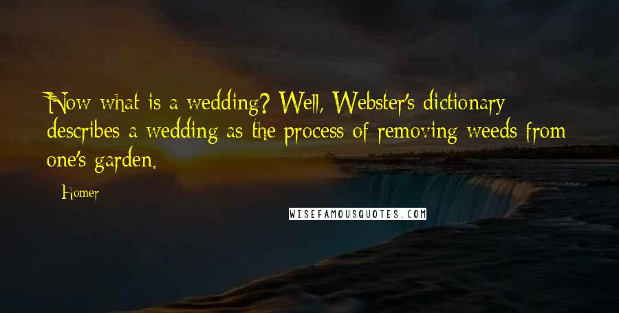 Homer Quotes: Now what is a wedding? Well, Webster's dictionary describes a wedding as the process of removing weeds from one's garden.