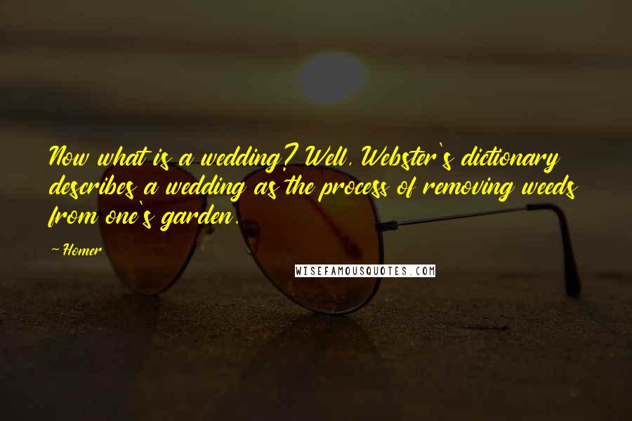 Homer Quotes: Now what is a wedding? Well, Webster's dictionary describes a wedding as the process of removing weeds from one's garden.