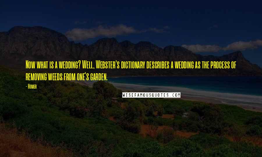 Homer Quotes: Now what is a wedding? Well, Webster's dictionary describes a wedding as the process of removing weeds from one's garden.