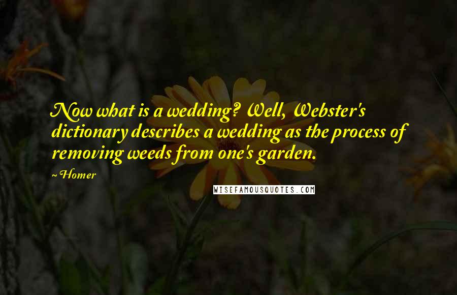 Homer Quotes: Now what is a wedding? Well, Webster's dictionary describes a wedding as the process of removing weeds from one's garden.