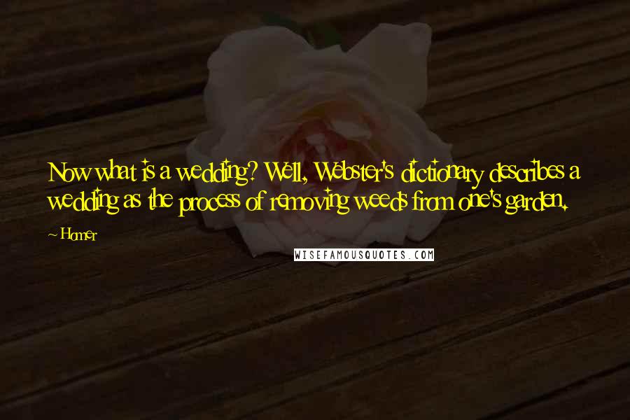 Homer Quotes: Now what is a wedding? Well, Webster's dictionary describes a wedding as the process of removing weeds from one's garden.