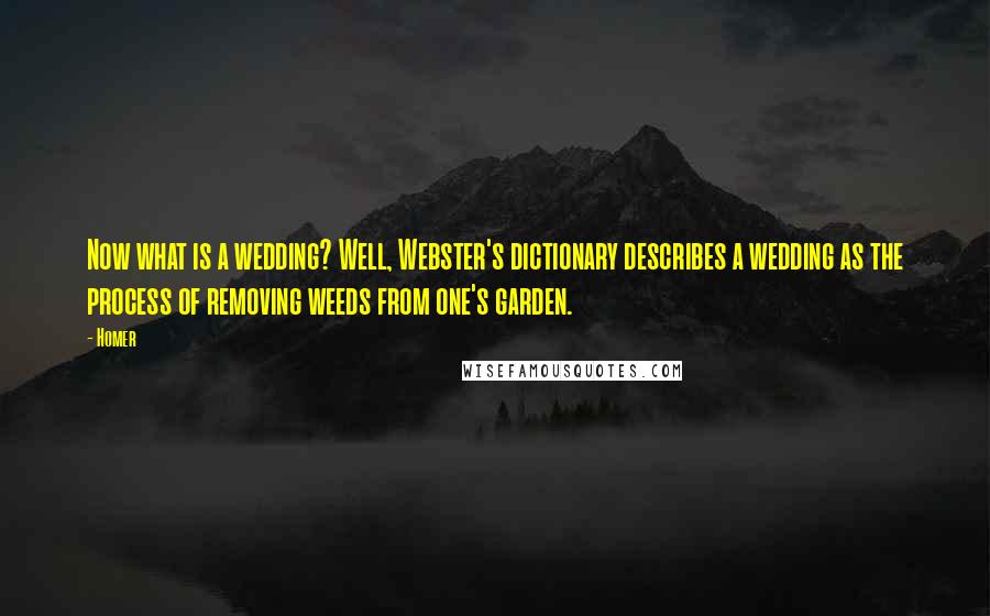 Homer Quotes: Now what is a wedding? Well, Webster's dictionary describes a wedding as the process of removing weeds from one's garden.