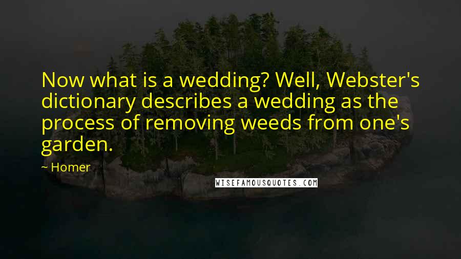 Homer Quotes: Now what is a wedding? Well, Webster's dictionary describes a wedding as the process of removing weeds from one's garden.