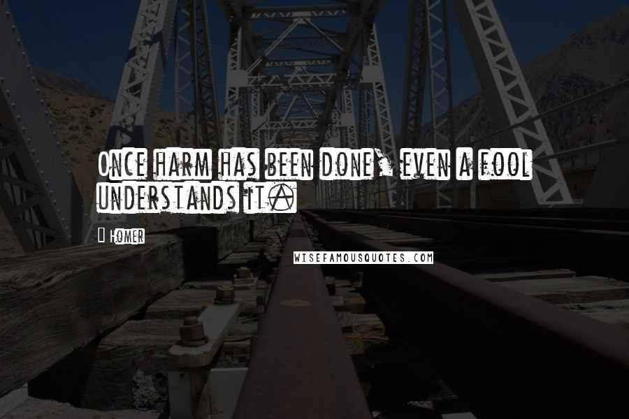 Homer Quotes: Once harm has been done, even a fool understands it.