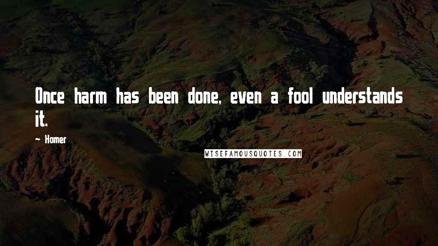 Homer Quotes: Once harm has been done, even a fool understands it.