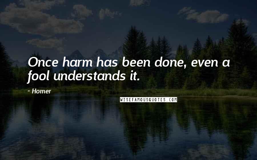 Homer Quotes: Once harm has been done, even a fool understands it.