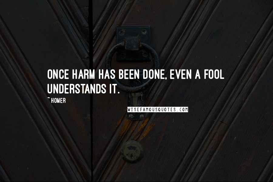 Homer Quotes: Once harm has been done, even a fool understands it.