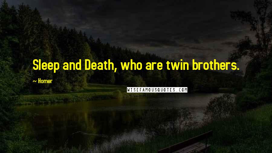 Homer Quotes: Sleep and Death, who are twin brothers.