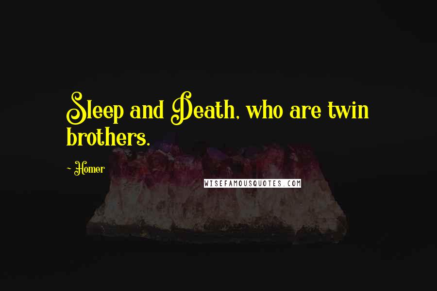 Homer Quotes: Sleep and Death, who are twin brothers.