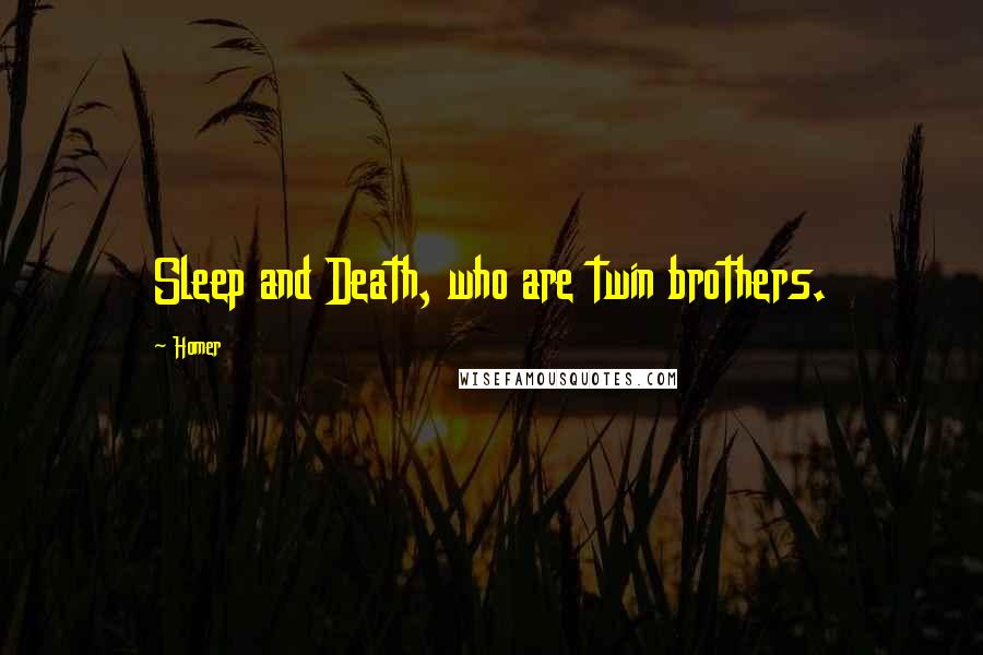 Homer Quotes: Sleep and Death, who are twin brothers.