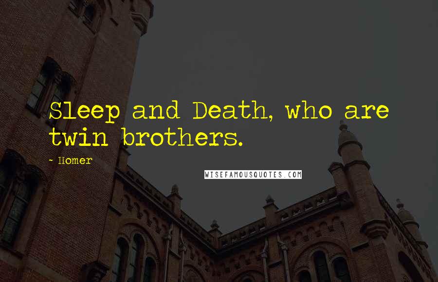 Homer Quotes: Sleep and Death, who are twin brothers.