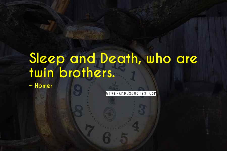 Homer Quotes: Sleep and Death, who are twin brothers.