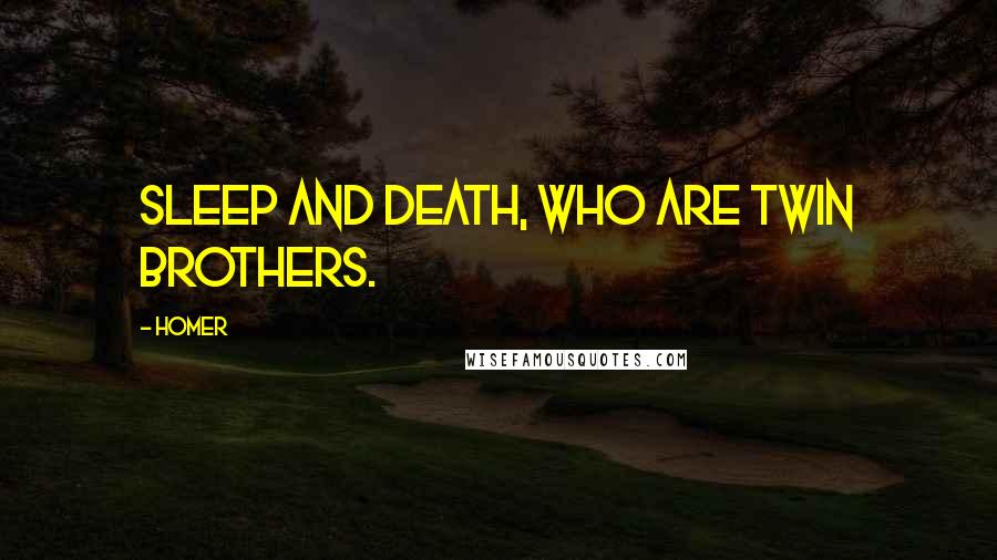 Homer Quotes: Sleep and Death, who are twin brothers.