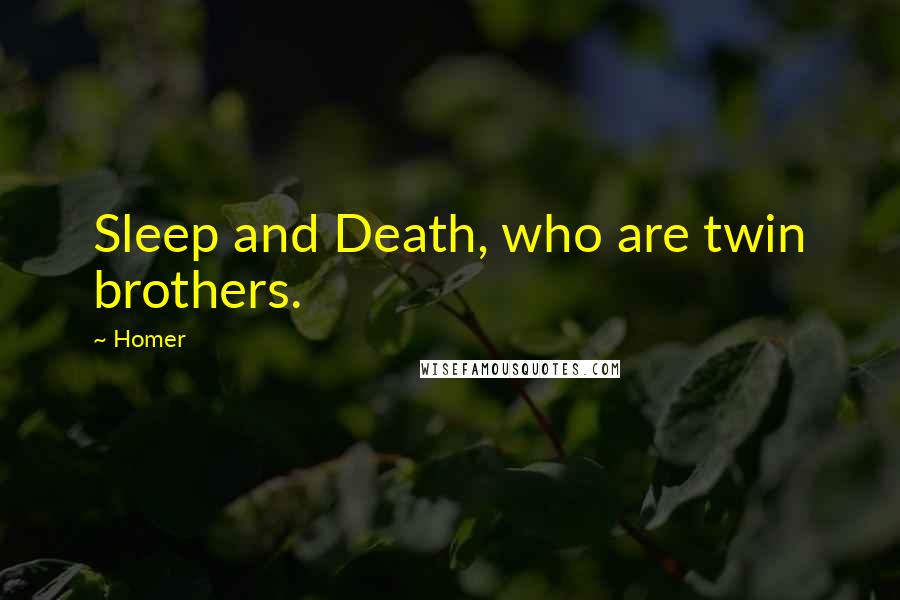 Homer Quotes: Sleep and Death, who are twin brothers.