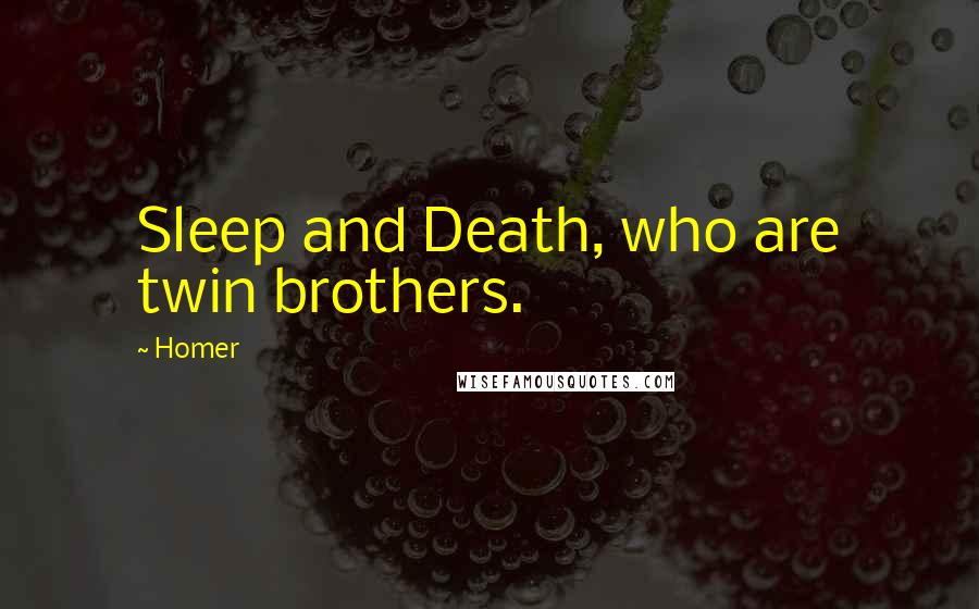 Homer Quotes: Sleep and Death, who are twin brothers.