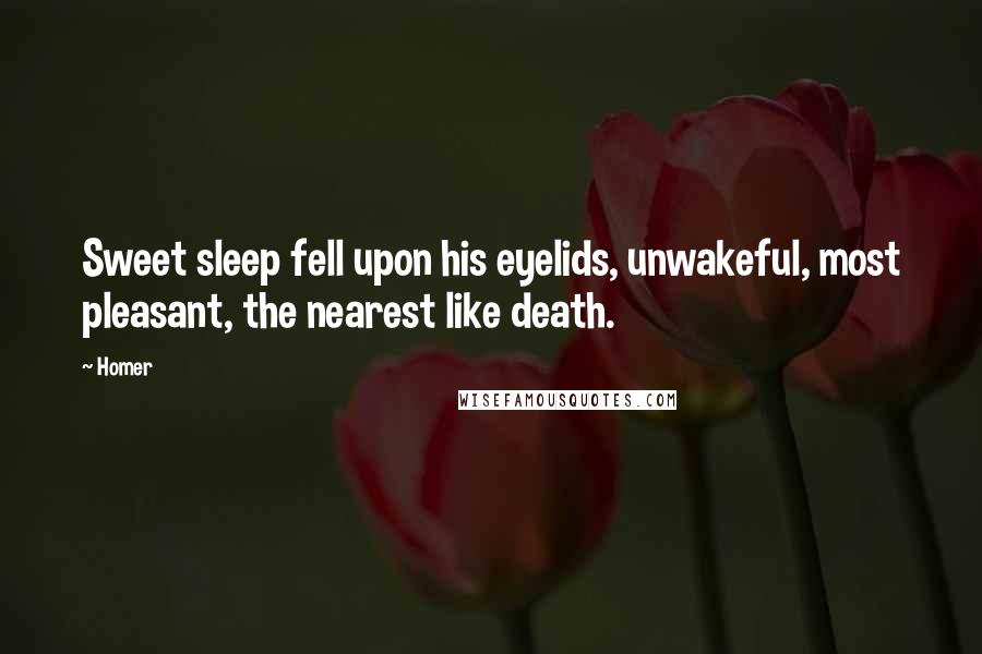 Homer Quotes: Sweet sleep fell upon his eyelids, unwakeful, most pleasant, the nearest like death.