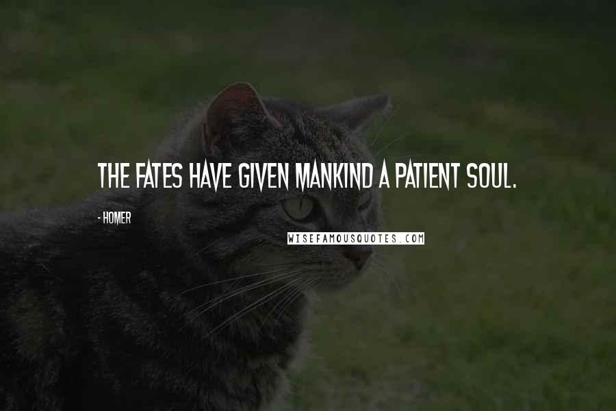 Homer Quotes: The fates have given mankind a patient soul.