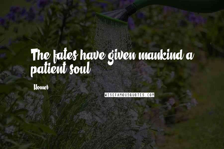 Homer Quotes: The fates have given mankind a patient soul.