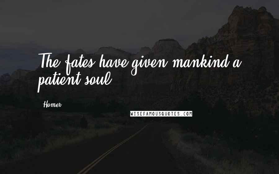 Homer Quotes: The fates have given mankind a patient soul.