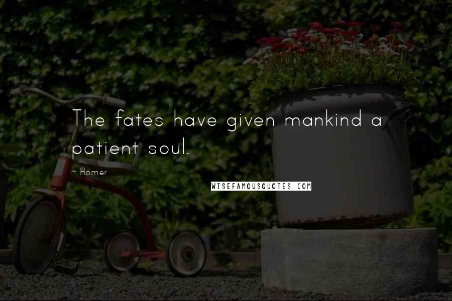 Homer Quotes: The fates have given mankind a patient soul.