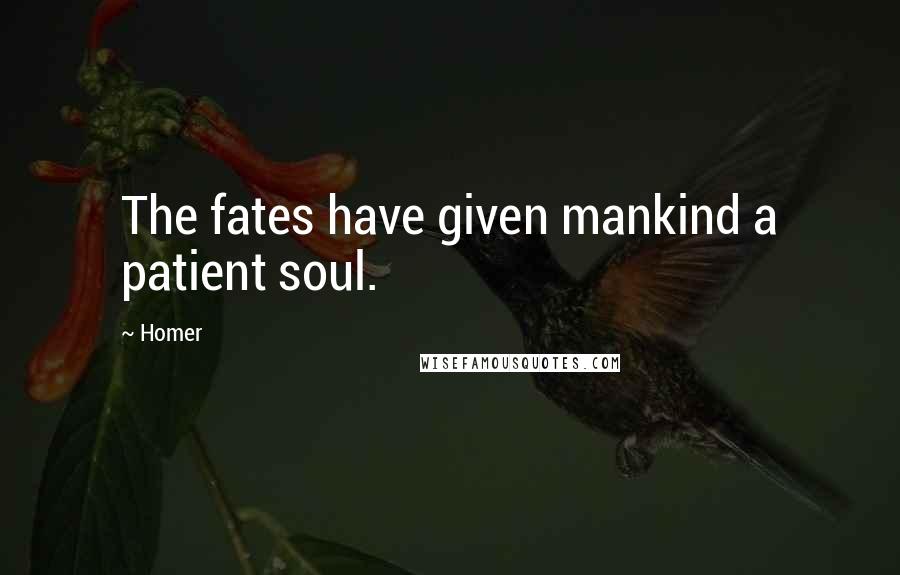 Homer Quotes: The fates have given mankind a patient soul.