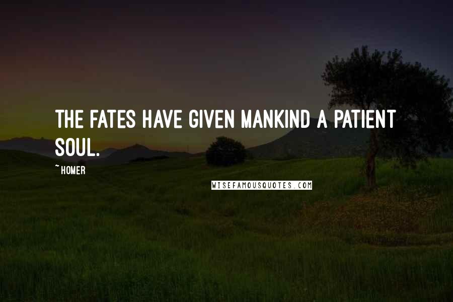 Homer Quotes: The fates have given mankind a patient soul.