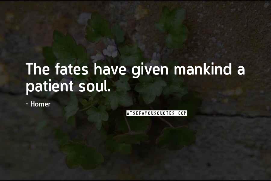 Homer Quotes: The fates have given mankind a patient soul.