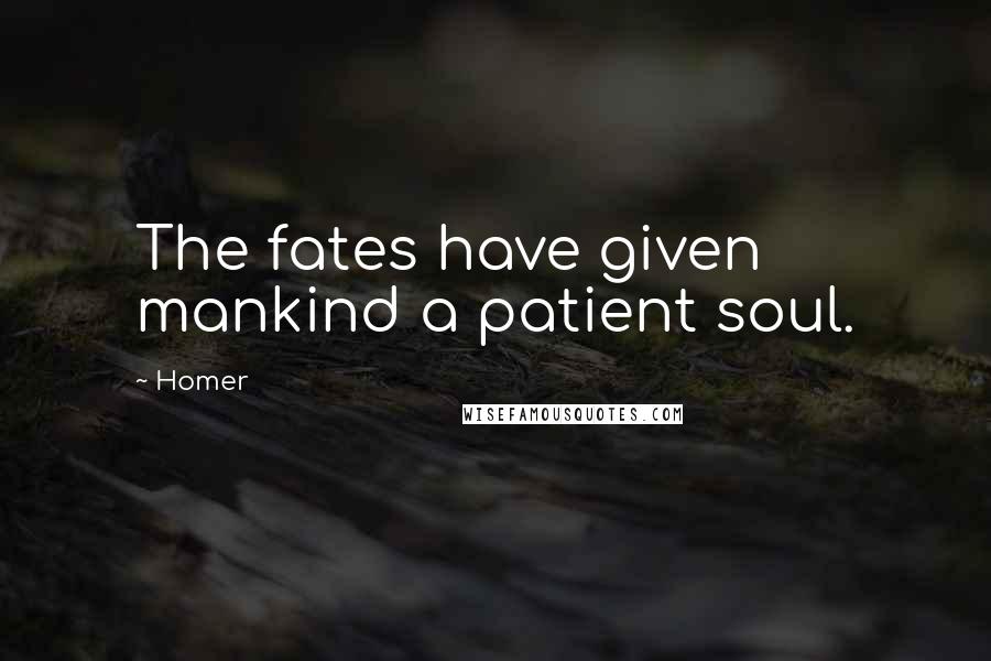 Homer Quotes: The fates have given mankind a patient soul.