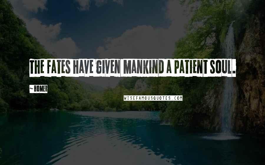 Homer Quotes: The fates have given mankind a patient soul.