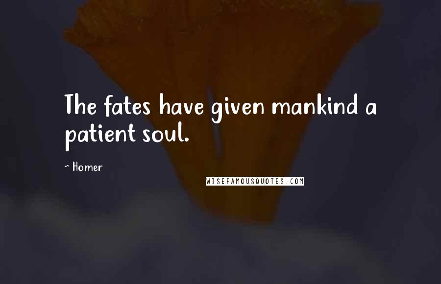 Homer Quotes: The fates have given mankind a patient soul.