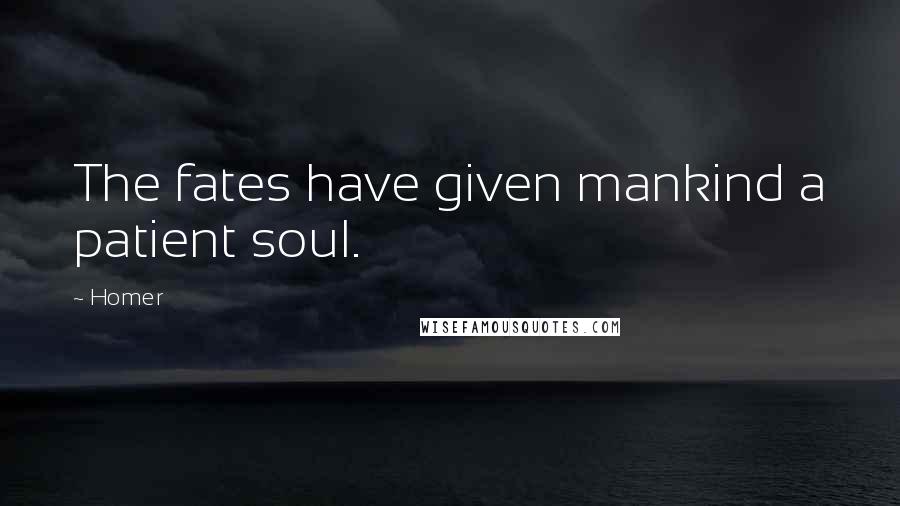 Homer Quotes: The fates have given mankind a patient soul.