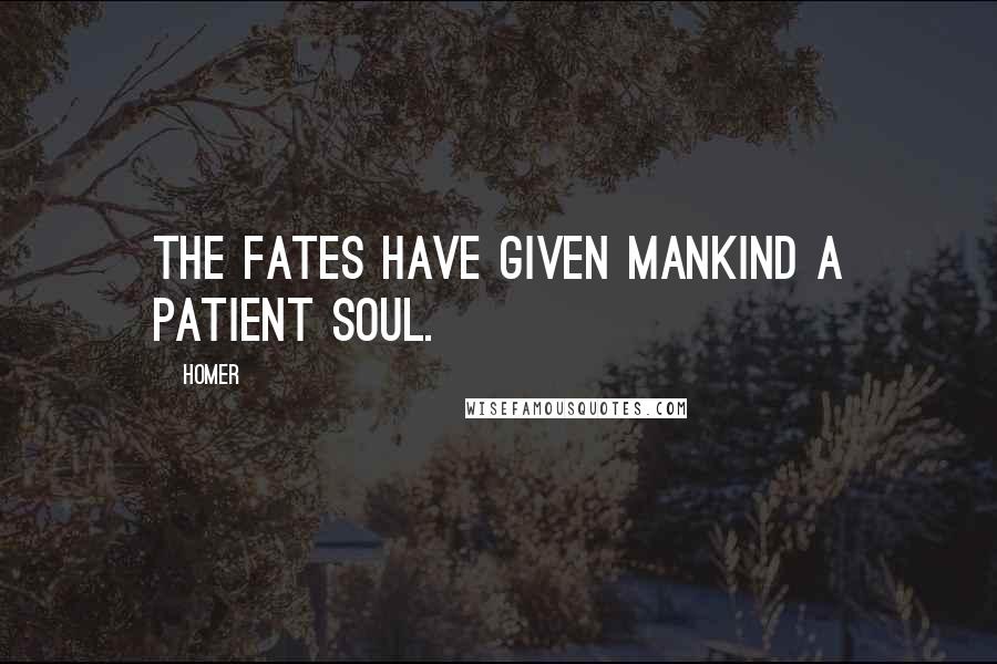 Homer Quotes: The fates have given mankind a patient soul.