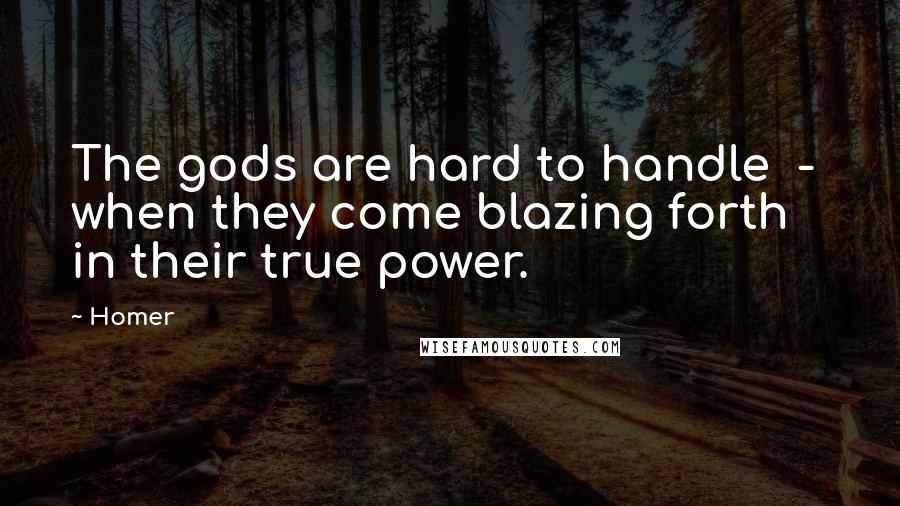 Homer Quotes: The gods are hard to handle  -  when they come blazing forth in their true power.