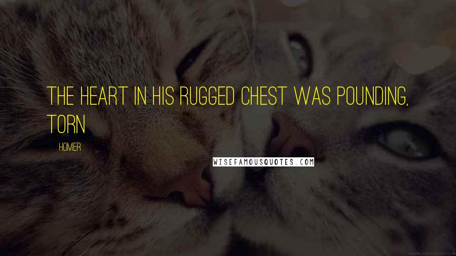 Homer Quotes: The heart in his rugged chest was pounding, torn