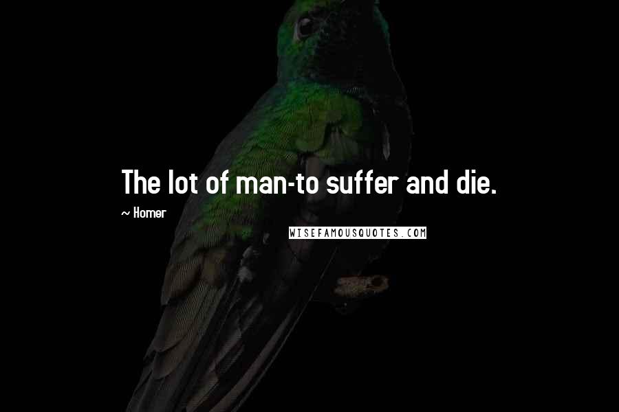 Homer Quotes: The lot of man-to suffer and die.