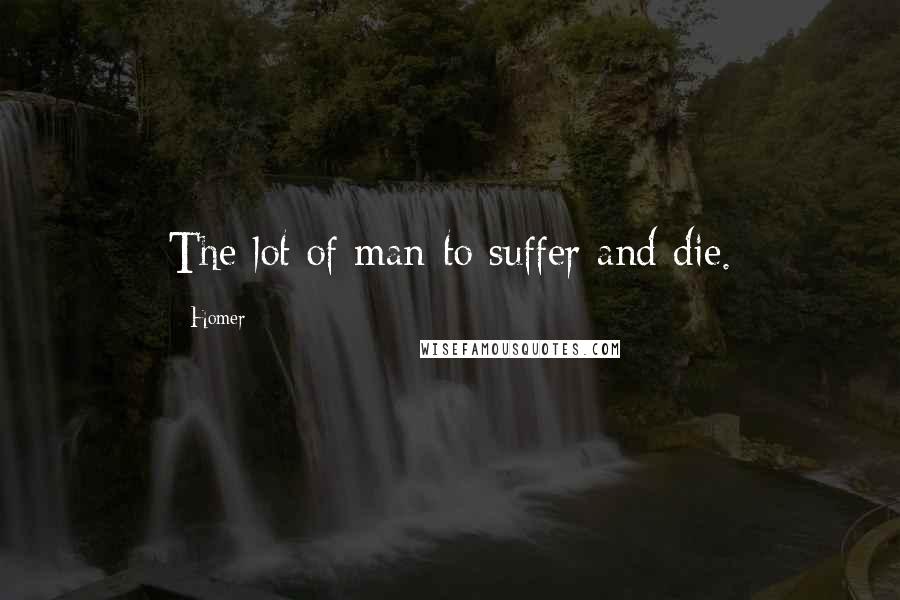 Homer Quotes: The lot of man-to suffer and die.