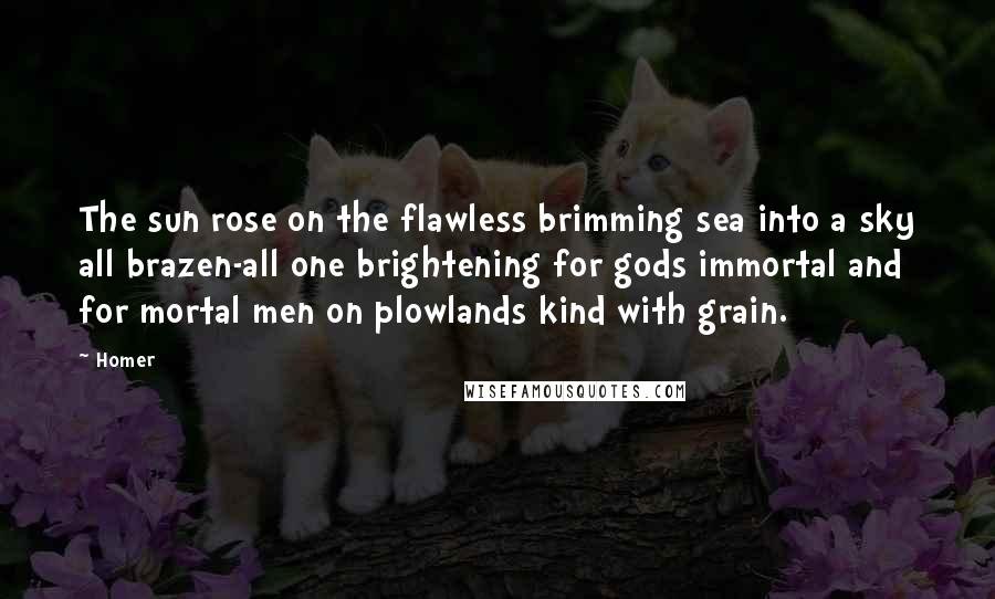 Homer Quotes: The sun rose on the flawless brimming sea into a sky all brazen-all one brightening for gods immortal and for mortal men on plowlands kind with grain.