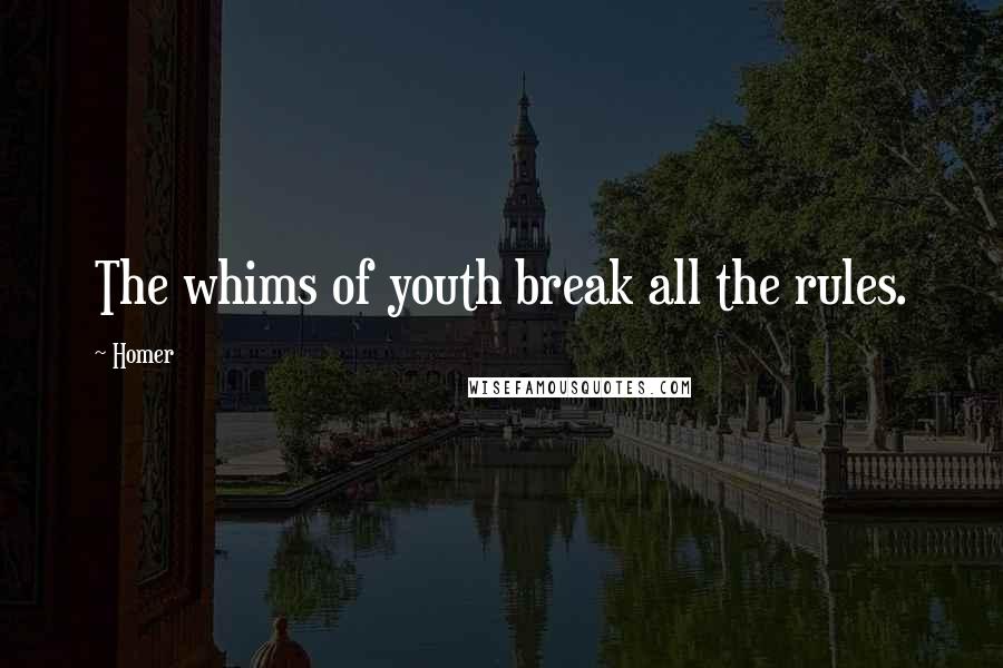 Homer Quotes: The whims of youth break all the rules.