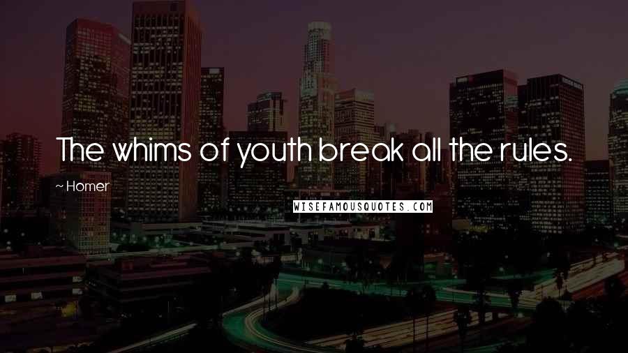 Homer Quotes: The whims of youth break all the rules.