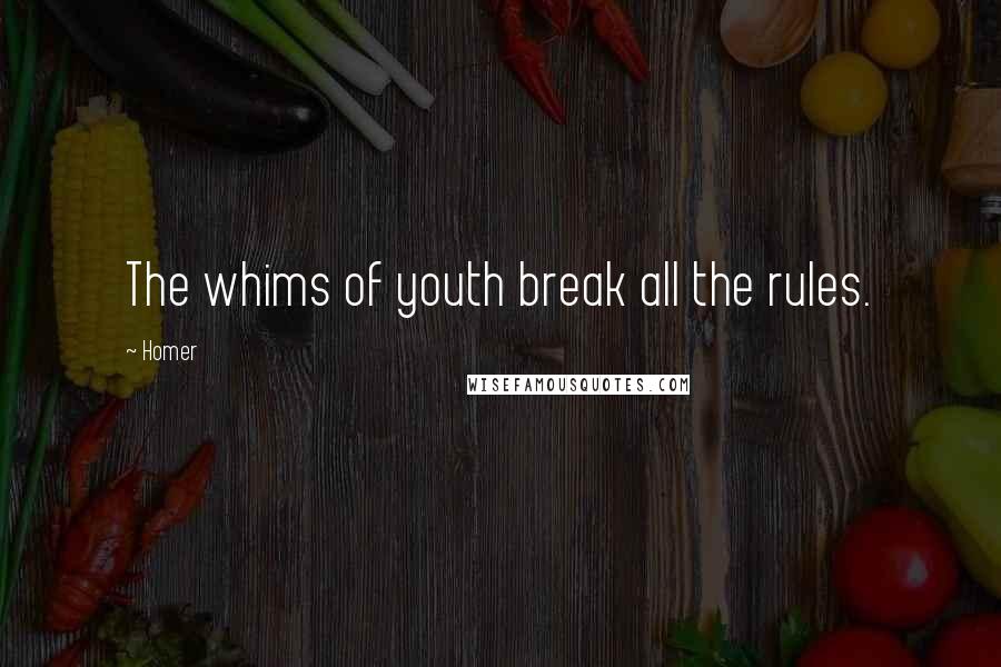 Homer Quotes: The whims of youth break all the rules.