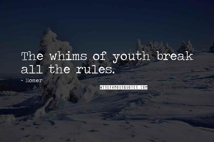 Homer Quotes: The whims of youth break all the rules.