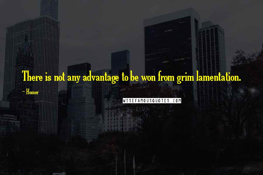 Homer Quotes: There is not any advantage to be won from grim lamentation.