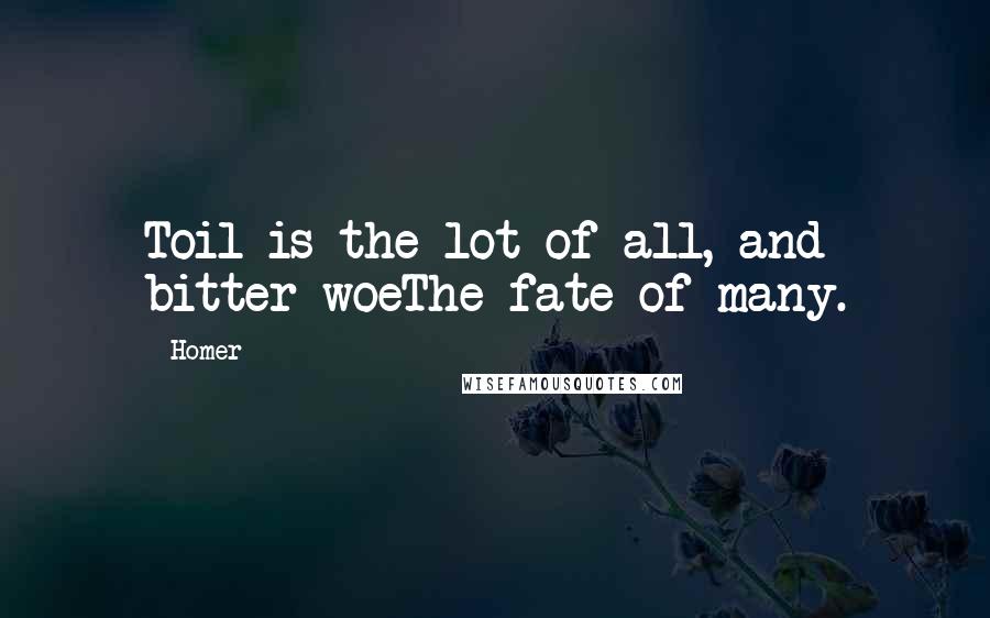 Homer Quotes: Toil is the lot of all, and bitter woeThe fate of many.
