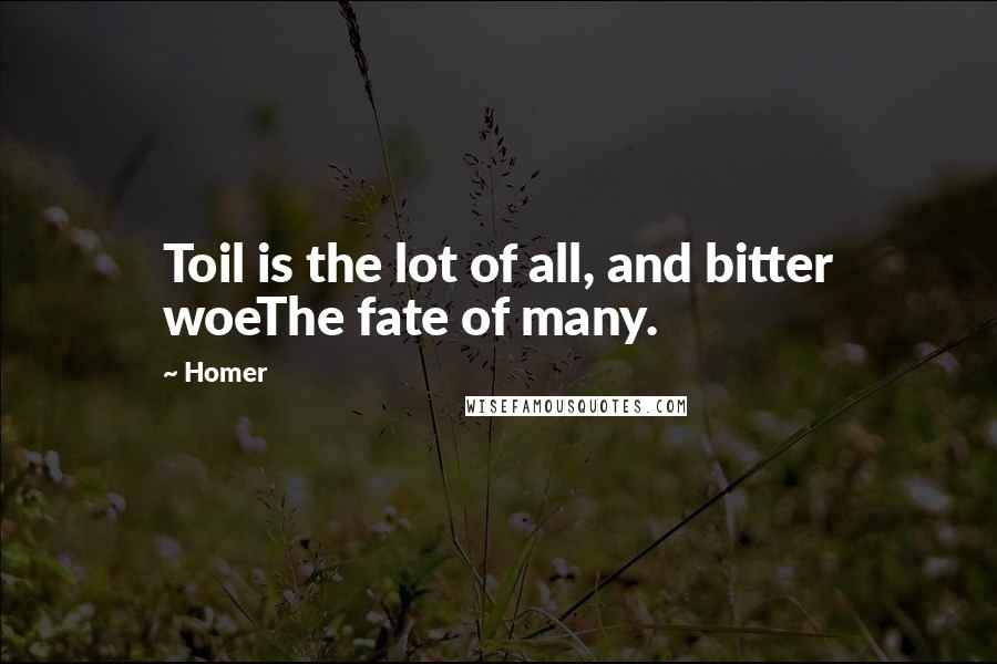 Homer Quotes: Toil is the lot of all, and bitter woeThe fate of many.