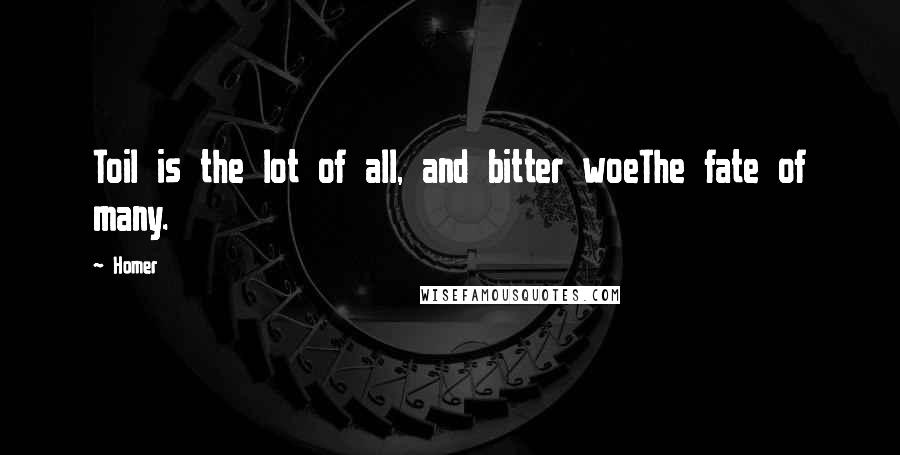 Homer Quotes: Toil is the lot of all, and bitter woeThe fate of many.