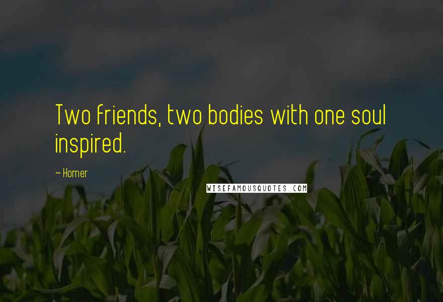 Homer Quotes: Two friends, two bodies with one soul inspired.