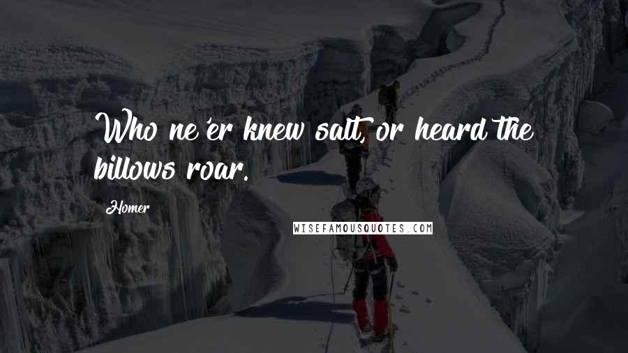 Homer Quotes: Who ne'er knew salt, or heard the billows roar.