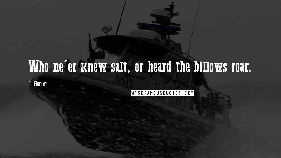 Homer Quotes: Who ne'er knew salt, or heard the billows roar.