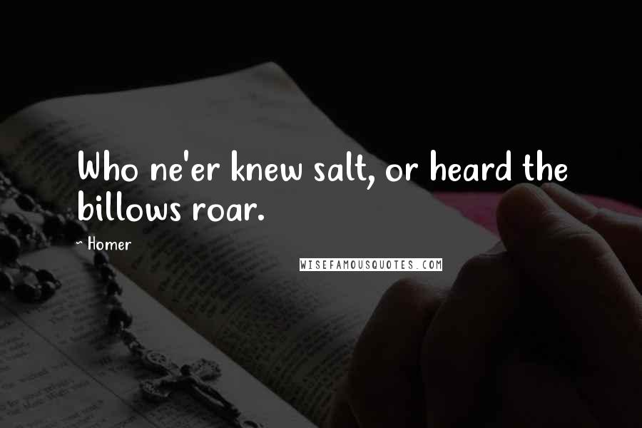 Homer Quotes: Who ne'er knew salt, or heard the billows roar.